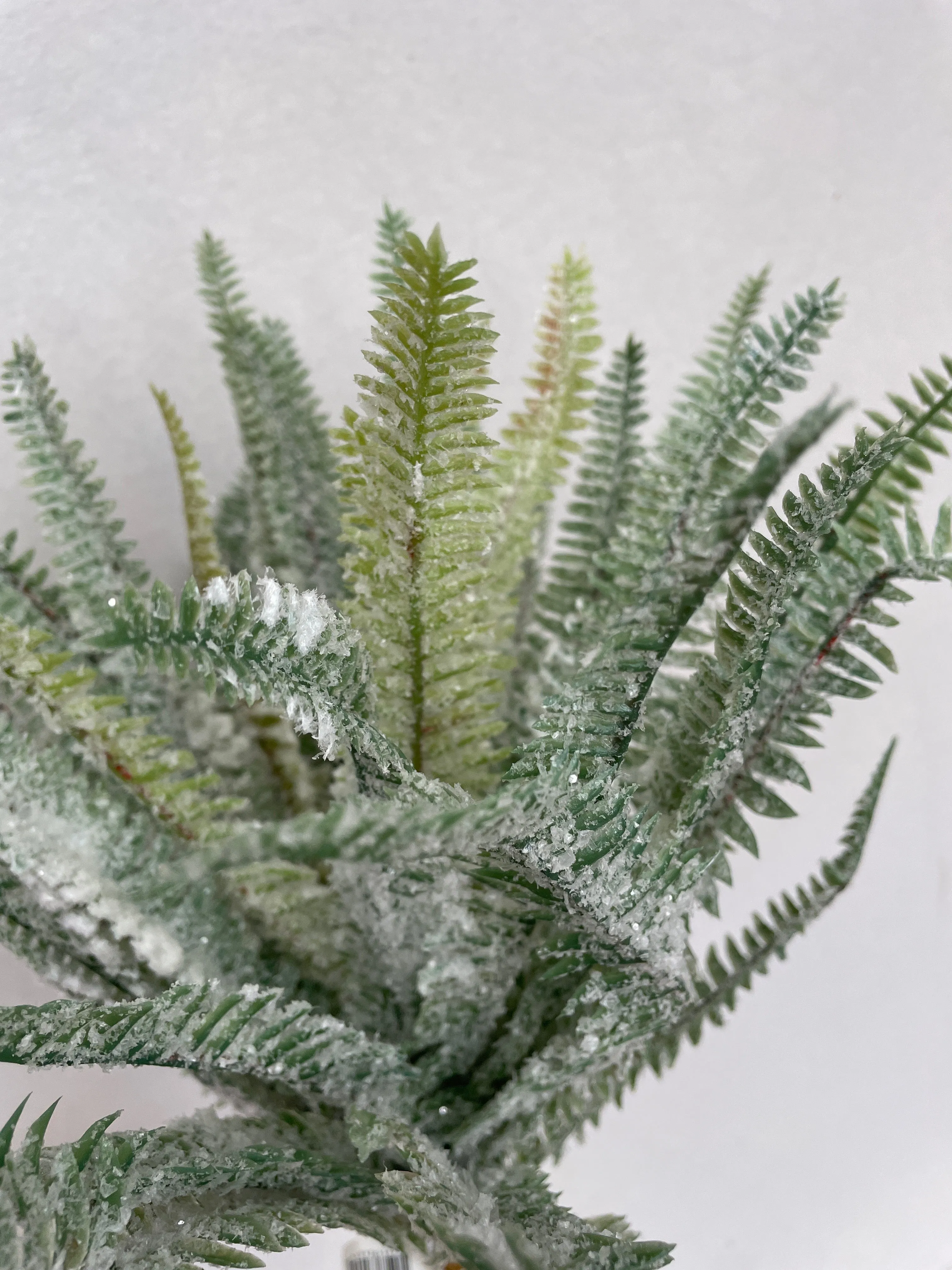 16" Snowy Boston Fern Spray